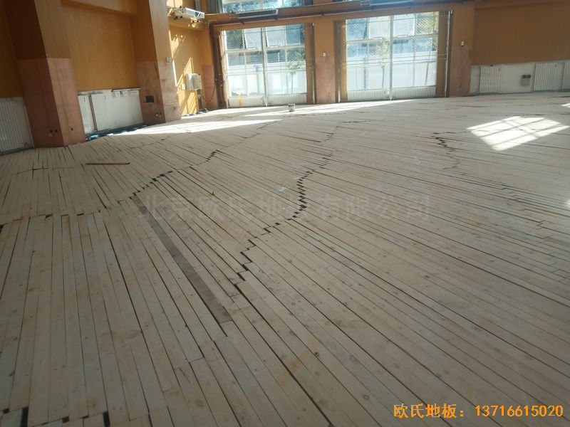 �������d�^(q��)�F��·98̖�w��ľ�ذ���b����