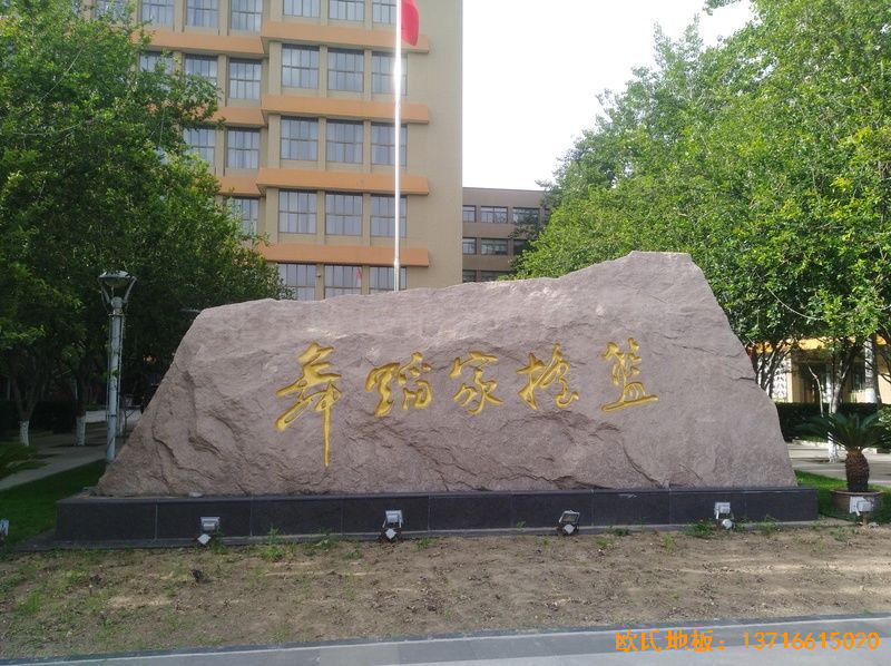 �����赸�W(xu��)Ժ�\�ӵذ���O(sh��)����