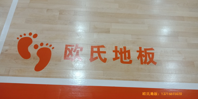 ������Ȫ���h���Ļ@���^�\��ľ�ذ�ʩ������3