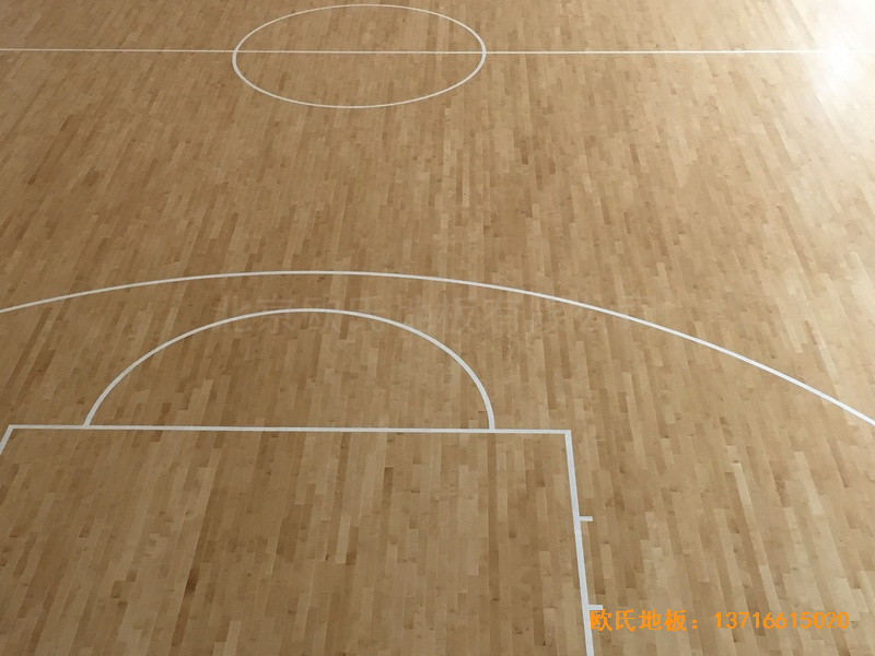 �V�ݽ����ɽ���@���^�\��ľ�ذ���O(sh��)����5