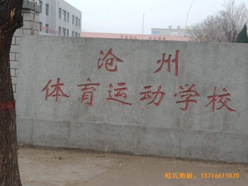 �ӱ������w���W(xu��)���@���^�\(y��n)��ľ�ذ���O(sh��)����0