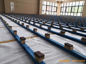 �V����혴���FӢ�ЌW(xu��)�w��ľ�ذ尲�b����