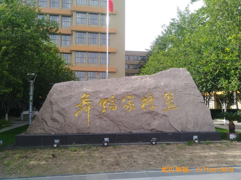 �����赸�WԺ�\�ӵذ尲�b����