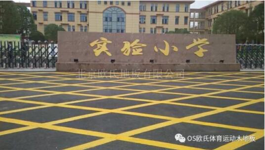 ���ό��l(xi��ng)�h���ό��С�W(xu��)�w���^ľ�ذ�ɹ�����