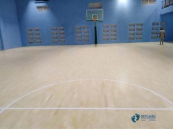 �Ҹ�ʽ�w���\��ľ�ذ���ô��
