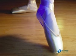 ȥ���I�w���@��ľ�ذ�r(ji��)�����