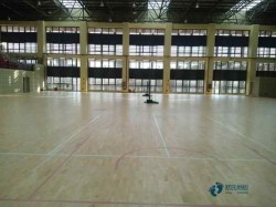 �Ҹ�ʽ�w���\��ľ�ذ������g��