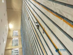�w������ľ�ذ�ʲô���Ӻ�