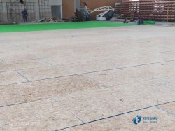 ����(bi��o)�w���@��ľ�ذ�ƽ�׃r(ji��)