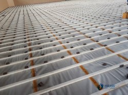 20���\�ӈ��^ľ�ذ��Ă������^�h(hu��n)��