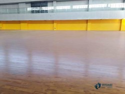 20���\(y��n)��(d��ng)��(ch��ng)�^ľ�ذ��Ă�(g��)���ӭh(hu��n)��