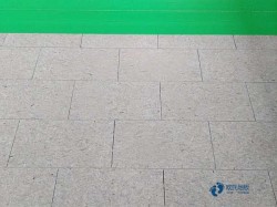 25���\(y��n)�ӈ�ľ�ذ�����