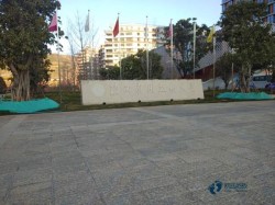 �����\���͵ذ��ķN���Ӻ�