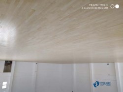 �W(xu��)У�@���(ch��ng)��ľ�ذ兢��(sh��)Ҫ��