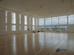 20���w����(ch��ng)��ľ�ذ��ķN���Ӻ�