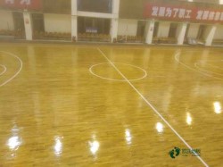 20���w���\(y��n)��(d��ng)ľ�ذ��Ă�(g��)���Ӻ�