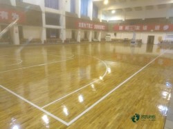 ��(y��u)�ݵĻ@���w���ذ尲�b�M